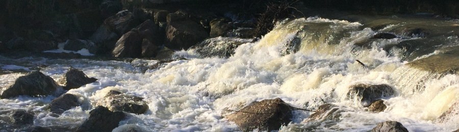 Zähmung eines Flusses: 50 Jahre Triesting&nbsp;Wasserverband