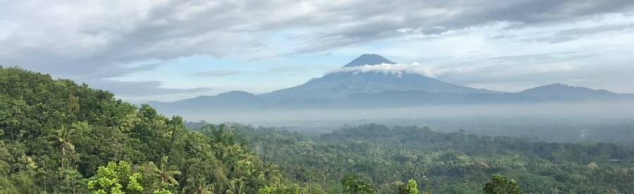 „Go with the flow“ in Yogyakarta, JAVA,&nbsp;Indonesien